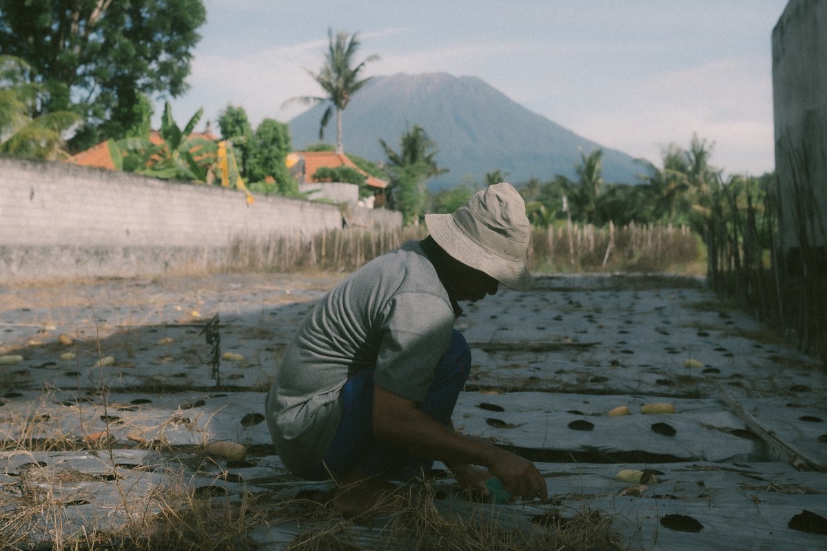 Gm from Indonesia 🌞