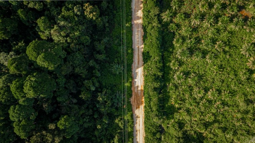 Discover how public & private sectors are working with the local communities in Indonesia to save the country's forests, with support from the UN-REDD Programme. Read more: un-redd.org/post/how-socia… #SaveForestsNow