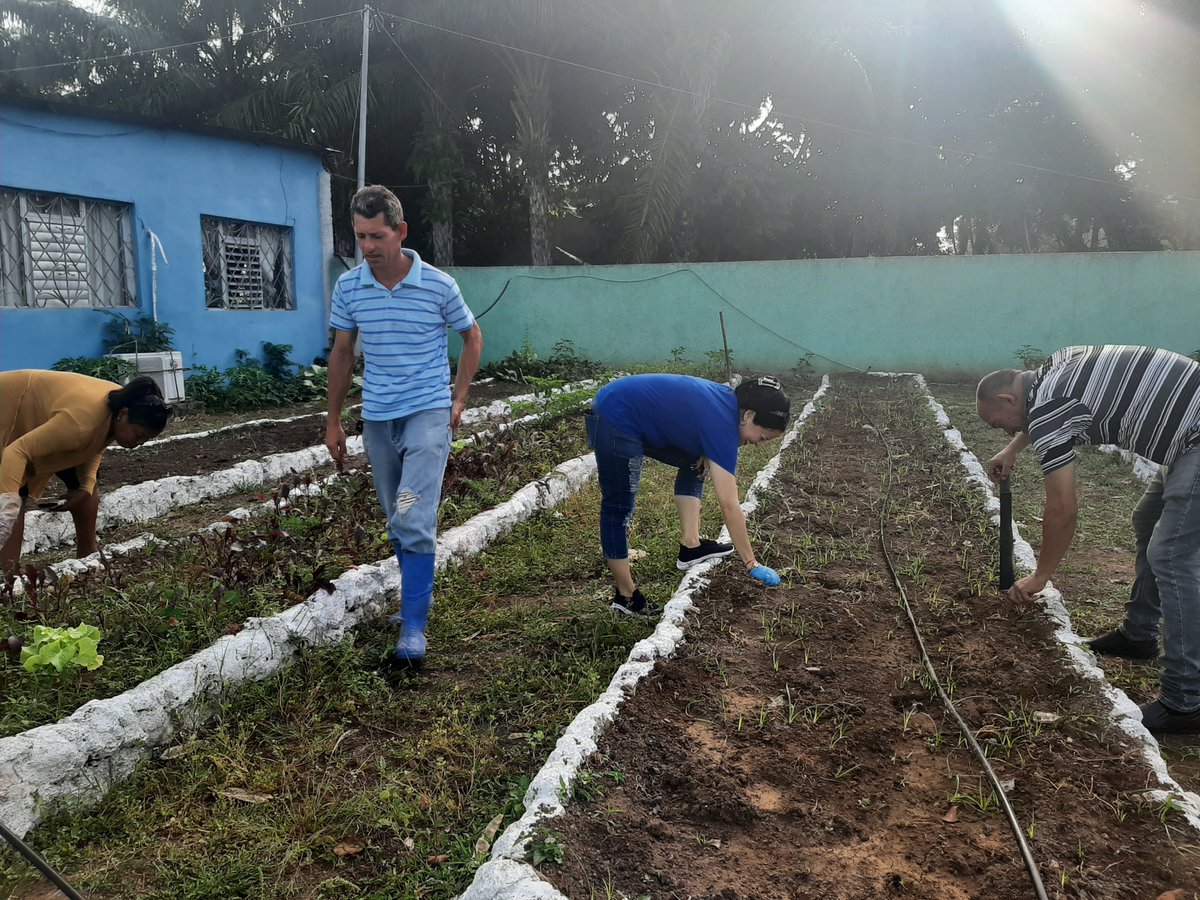 INRHCdeAvila's tweet photo. Cambio de labor en el organopónico del centro, trabajando por una soberanía alimentaria por un # 1Mayo #LatirAvileño #DPRHCiego https://t.co/atvx1grpt9