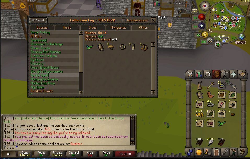 Slax_OSRS's tweet image. Quetzin Pet #13