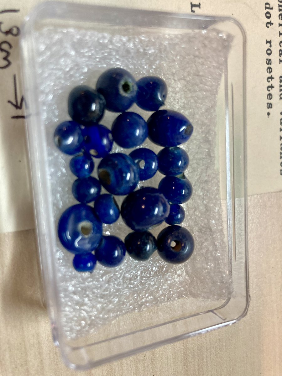 A busy week of documentation tasks culminating in an end of week high locating 21 glass beads from @TheEES excavations at Amarna that got muddled with another accession group in 1976….

#museumdocumentation #geekcurator