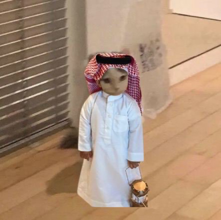 LaloYSH's tweet photo. @koolk123456 We here $MICHI https://t.co/cqIdMURnA4