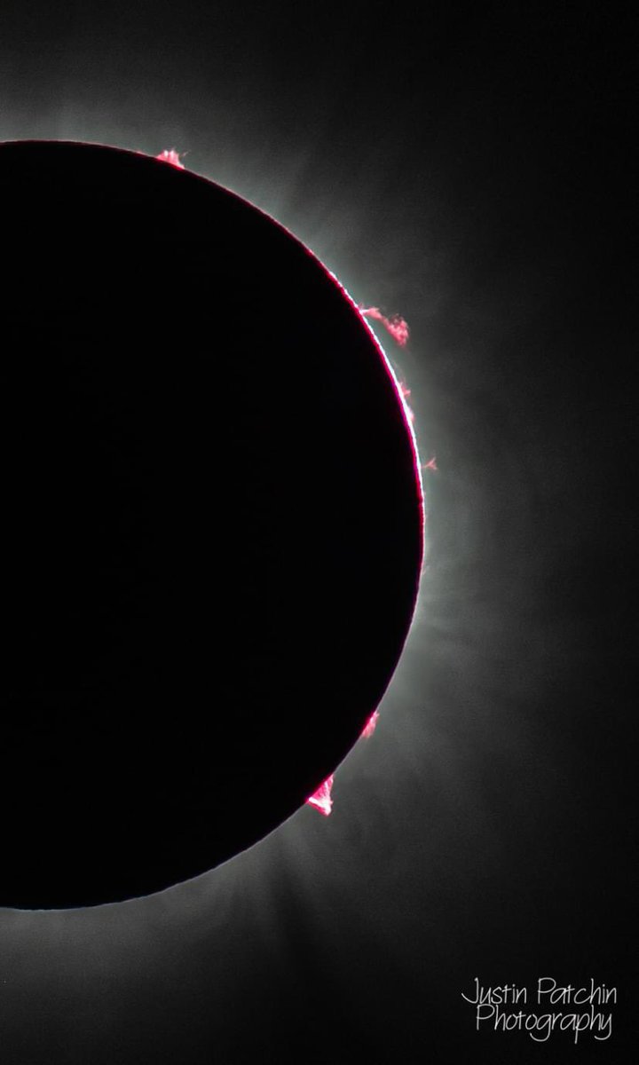Solar prominences visible during the #eclipse.
