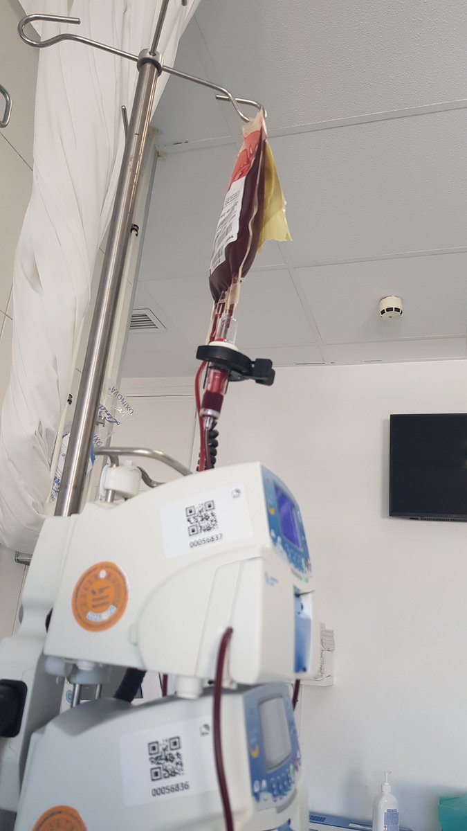 Fuen-t🔻 (@siemprefuent) on Twitter photo Gracias, gracias y gracias a los y las donantes de sangre!!!
<a href="/DonarSangreMU/">🩸CENTRO REGIONAL DE HEMODONACIÓN 🅰️🅱️🅾️🆎</a>
No tengo palabras para agradecer los 4 "chuletones" que llevo Gracias, gracias y gracias a los y las donantes de sangre!!!
<a href="/DonarSangreMU/">🩸CENTRO REGIONAL DE HEMODONACIÓN 🅰️🅱️🅾️🆎</a>
No tengo palabras para agradecer los 4 "chuletones" que llevo