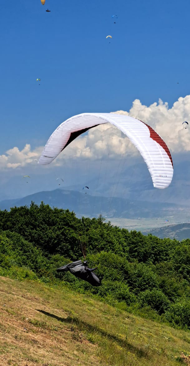 Gin Gliders Inc. tweet media