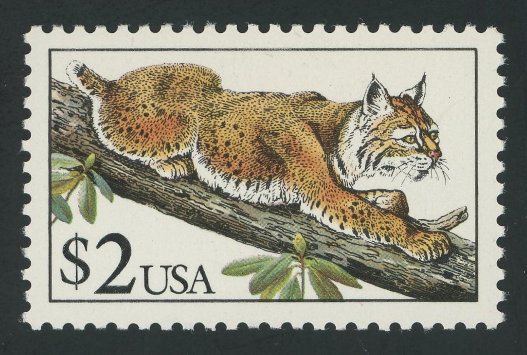 #philately #stamps Stamp of the day. USA 2482 - 2 Dollar Bobcat issue of 1990.