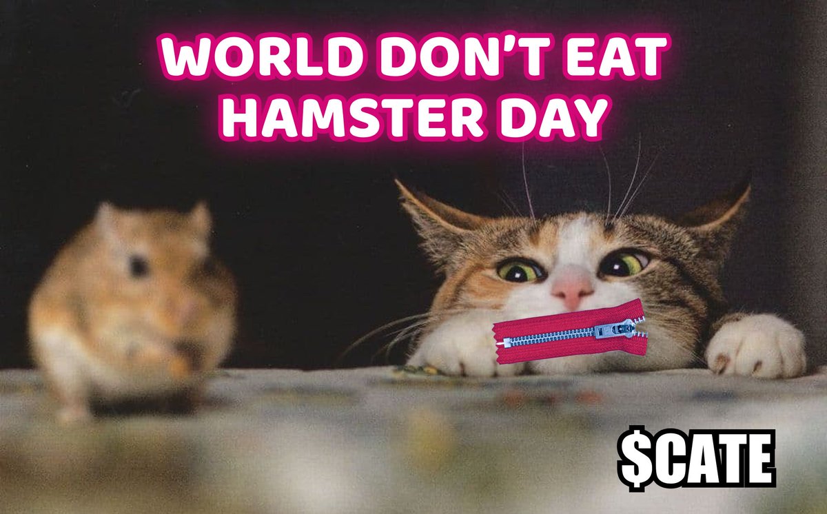 Yay its World hamster day!!! 🎉😻 Don't forget, $CATE loves all the species of #memecoins 🩶 (except dogs) 😹 #CateCoin #CatLovers