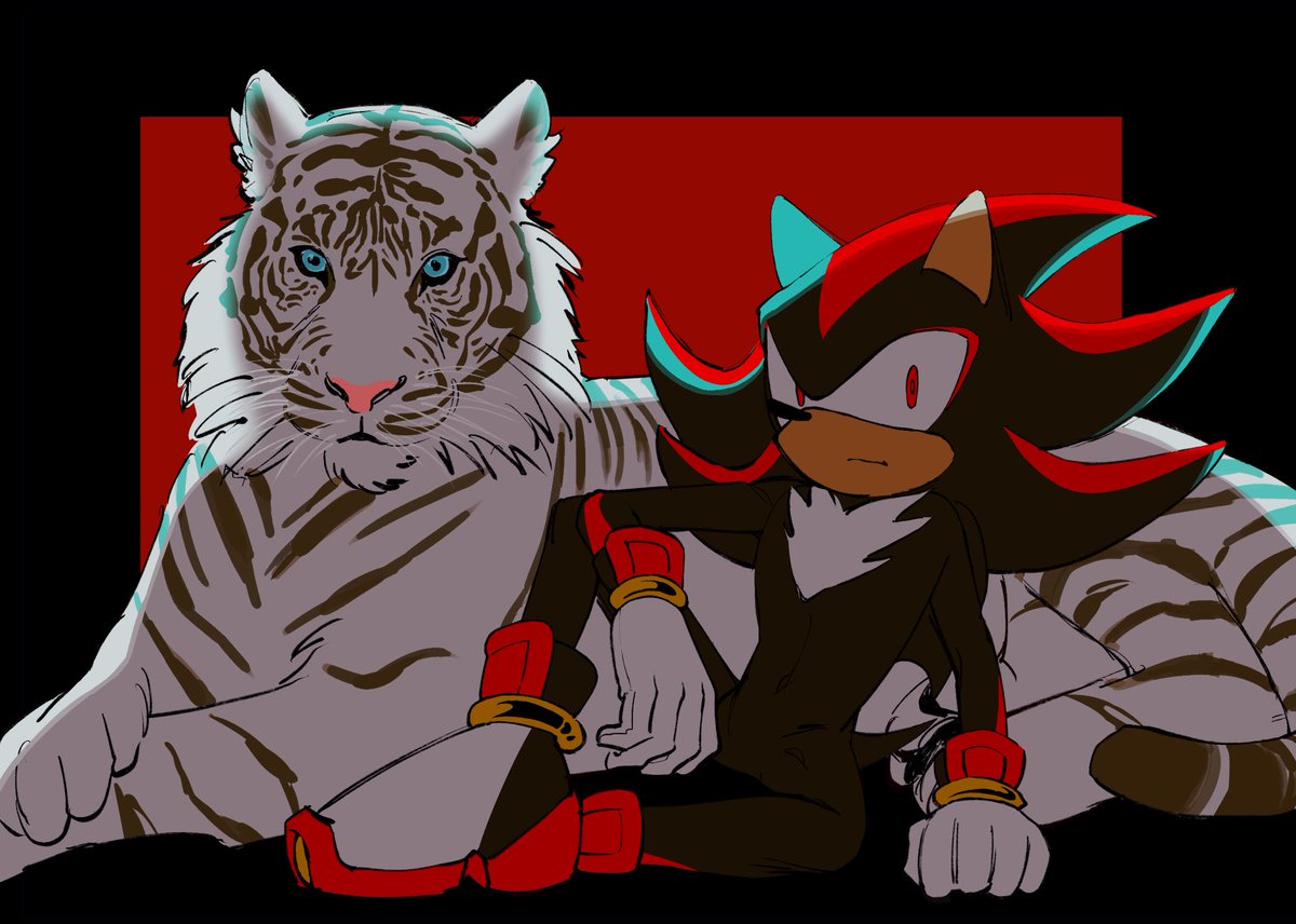 #SonicTheHedgehog #ShadowTheHedgehog