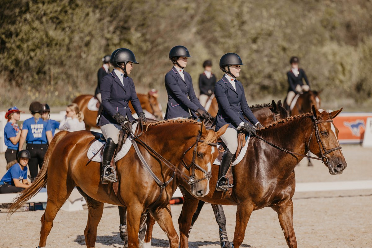 SMU Equestrian Stays Focused On The Finish At NCEA Championship

Story ➡️ bit.ly/3TSkRX7

#WorkPlayWin | #PonyUpDallas