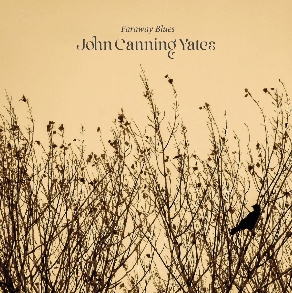 NEWS!: (x3) ‘Faraway Blues’, the new single is out now!! Stream: songwhip.com/johncanningyat… My album ‘The Quiet Portraits’ is released next Friday! (19th April) Order: violetterecords.com/store/p/john-c… Launch gig with Beatowls following Friday (26th April) Tickets: tickettailor.com/events/violett…