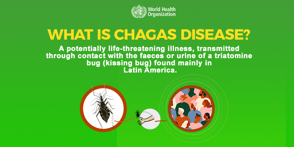 This #WorldChagasDiseaseDay, we have compiled an collection of recent articles on chagas from our journal #Transactions Read them here: rstmh.org/news-blog/blog… #Chagas #WorldChagasDay #globalhealth
