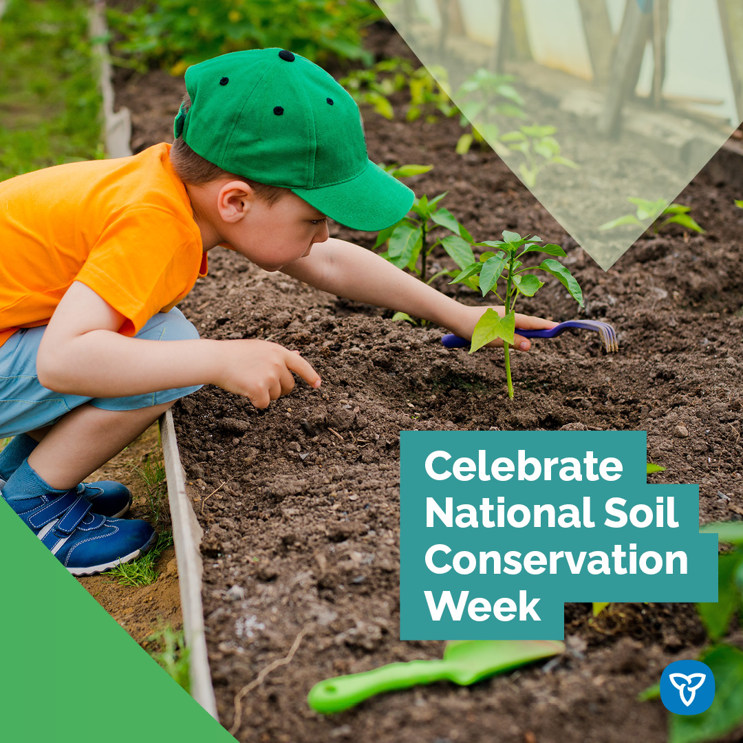 AgricultureON's tweet photo. Happy #NationalSoilConservationWeek!
Great food starts from the ground up, which is why our government has developed a number of programs aimed at improving soil health.
Stay tuned for success stories from the Fertilizer Challenge this week!
#OntAg #GrowingONtogether https://t.co/qlXHzJymgH