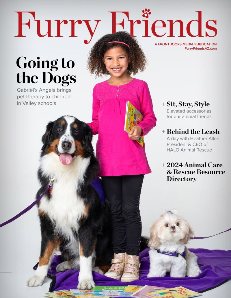 Gabriel's Angels enhances the social and emotional development of children through the life-changing power of pet therapy. Read about the great work its volunteer therapy teams do to help vulnerable kids. issuu.com/.../docs/frd07… #PetTherapy @GabrielsAngels @frontdoorsmedia