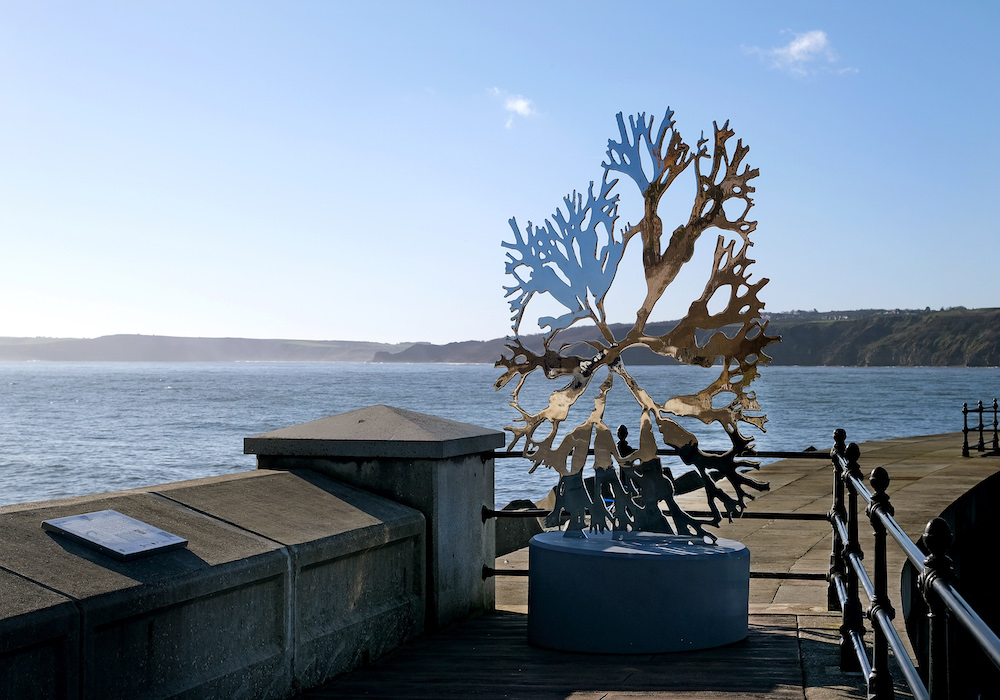 🪸 'Unveiled last month on #ScarboroughHarbour overlooking the North Sea, #PaulMorrison’s ‘Sea Oak’ sculpture is the latest work to be added to the #WildEye coastal art and nature trail.' Via #CaughtByTheRiver bit.ly/3TUA8GP Photo: Richard Ponter