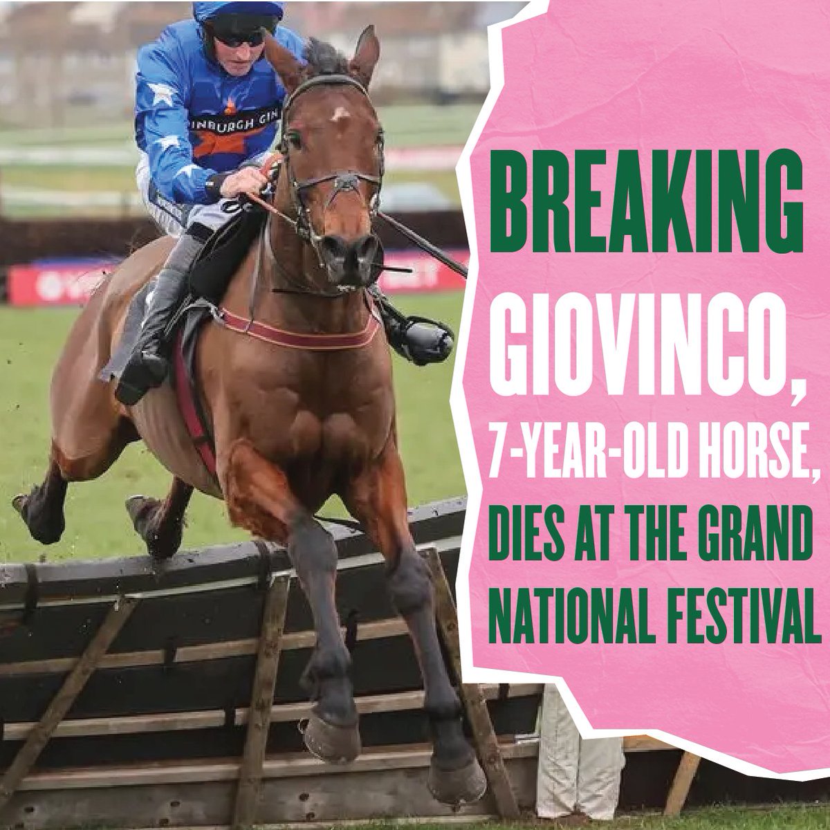 BREAKING: Giovinco suffers fatal fall during the first race on the second day of the Aintree Grand National. The racing industry's safety rules are once again shown up as nothing more than a PR cover-up. Sign the petition to stop more needless deaths: actionnetwork.org/petitions/canc…