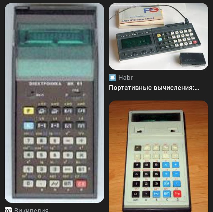 Лесное 🐈-водство tweet media