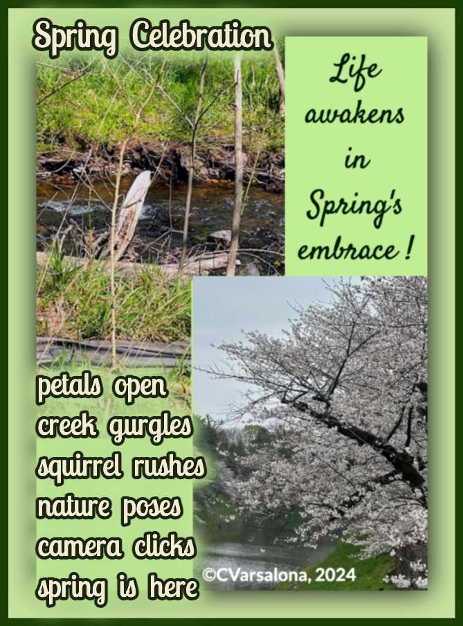 Beyond LiteracyLink: Life Awakens in #Spring beyondliteracylink.blogspot.com/2024/04/life-a… #poetry #naturephotography Today's invitation is to create an artistic expression for my Poetry Parade #Padlet and #GalleryofArtisticExpressions. Look inside the #blogpost for information.