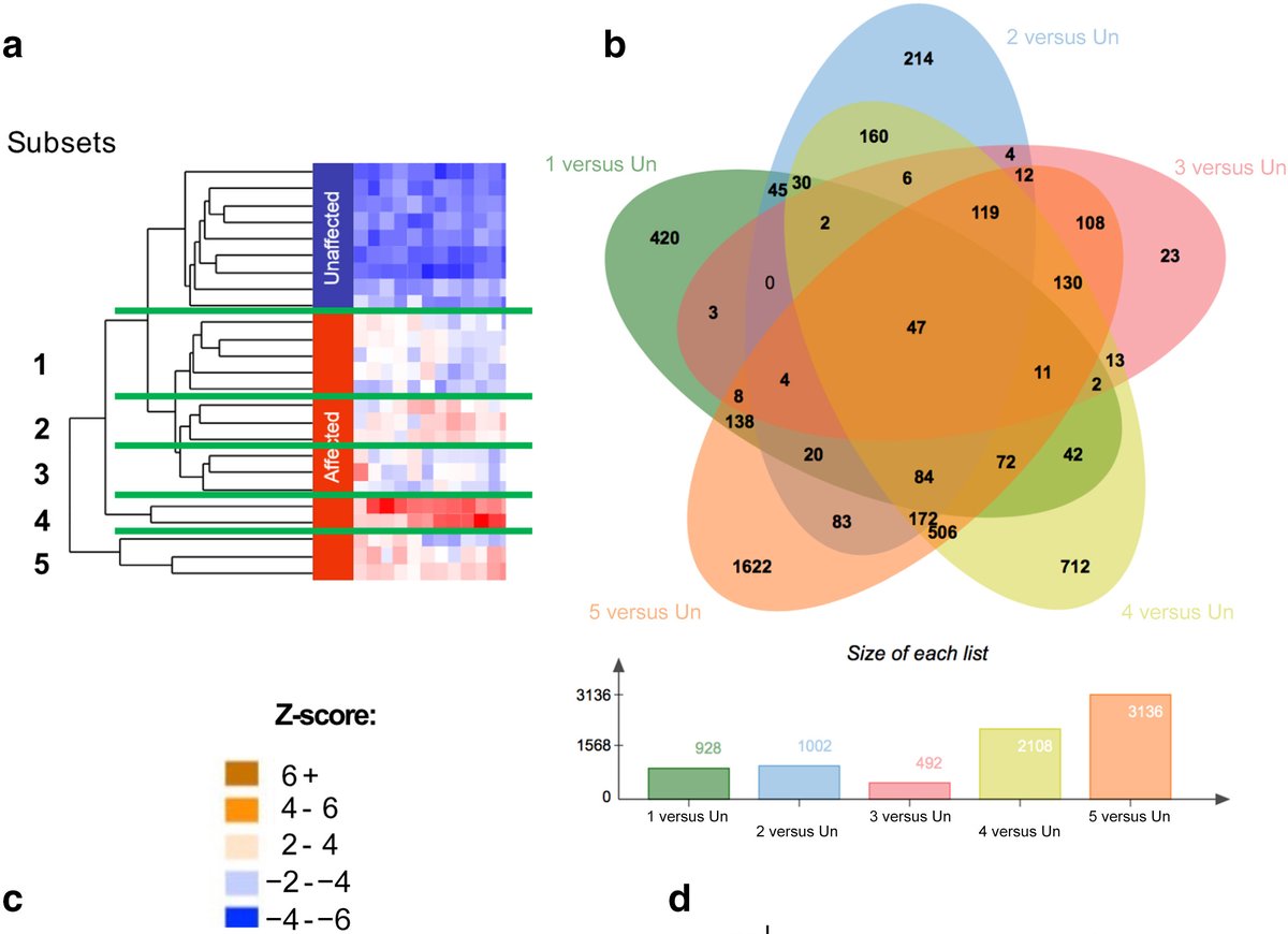 From the March issue: Developing a better understanding of sclerotic #GVHD through #transcriptomics ow.ly/OwpU50RaoQ0 #dermtwitter #medderm