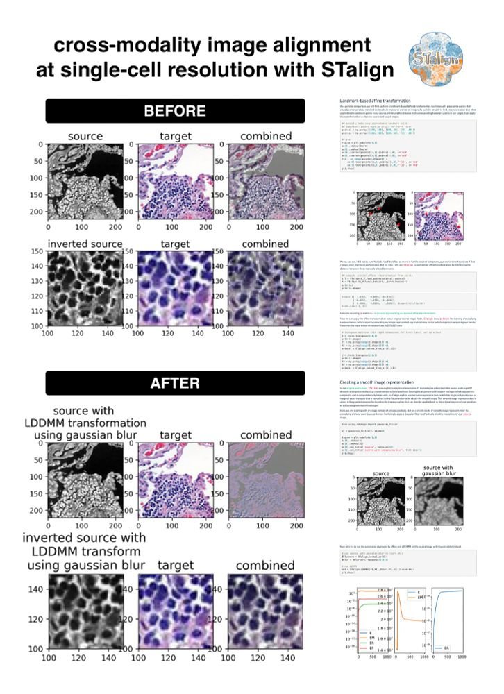 JEFworks's tweet photo. In this blog post, I show how although we developed STalign to structurally align #spatialtranscriptomics data, we can use the same tool + underlying math to align tissue images at #singlecell resolution
Try it out: https://t.co/Ep78JLPeWf
#bioinformatics #Python #codetutorial https://t.co/q0CT3iBBq3