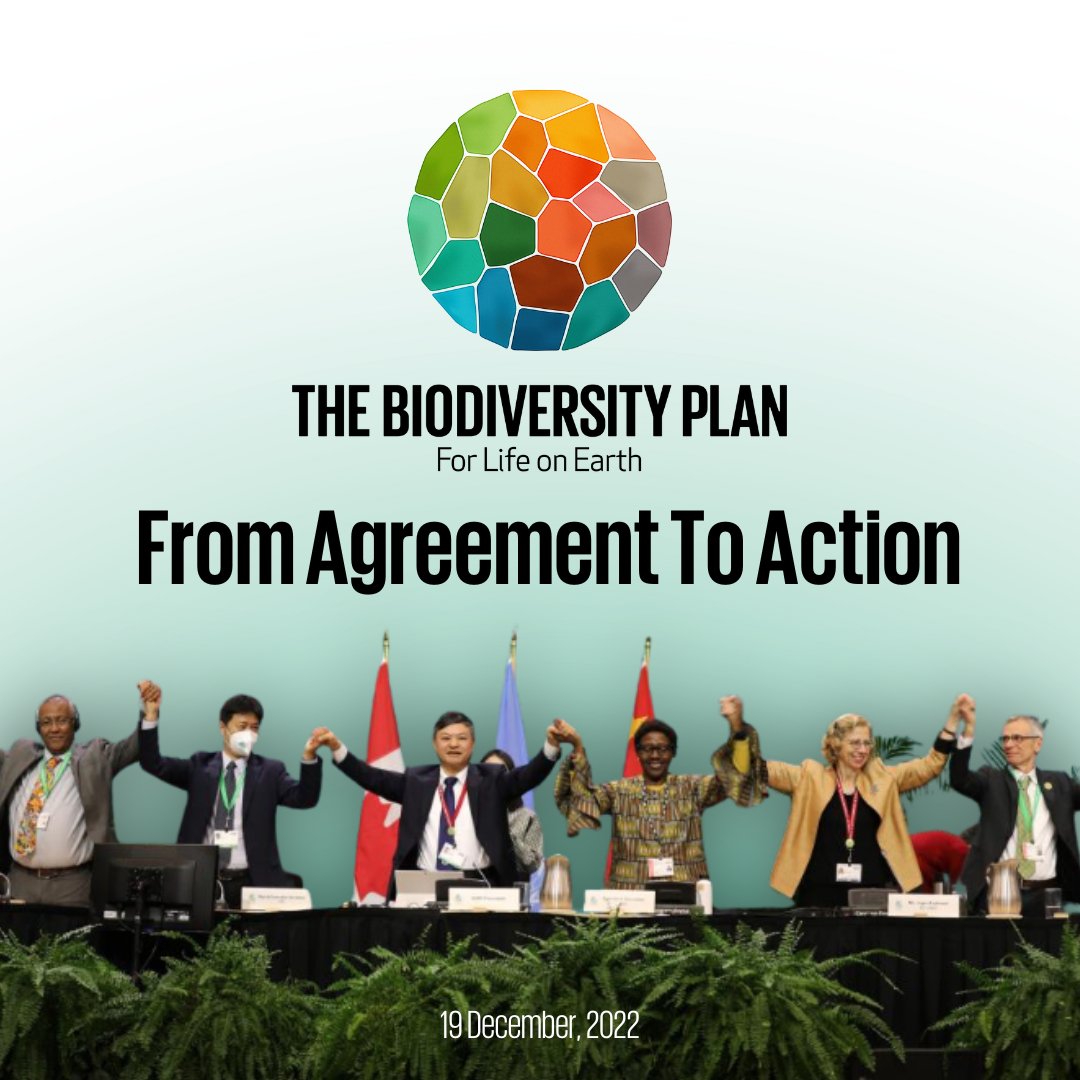 #Throwback to a landmark moment at COP15 with the adoption of four goals and 23 targets for 2030 in the UN biodiversity agreement. 🌍 #TBT #COP15 #BiodiversityGoals