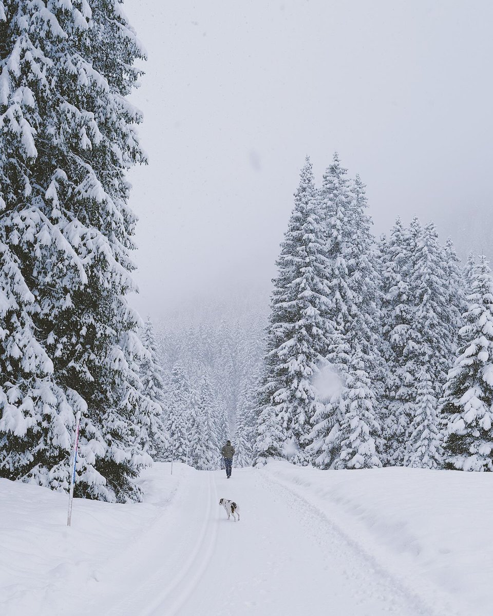 Festivals, an eclipse, avalanches and spring snow - it's all going on in the mountains right now. Find out about it welove2ski.com/festivals-an-e…