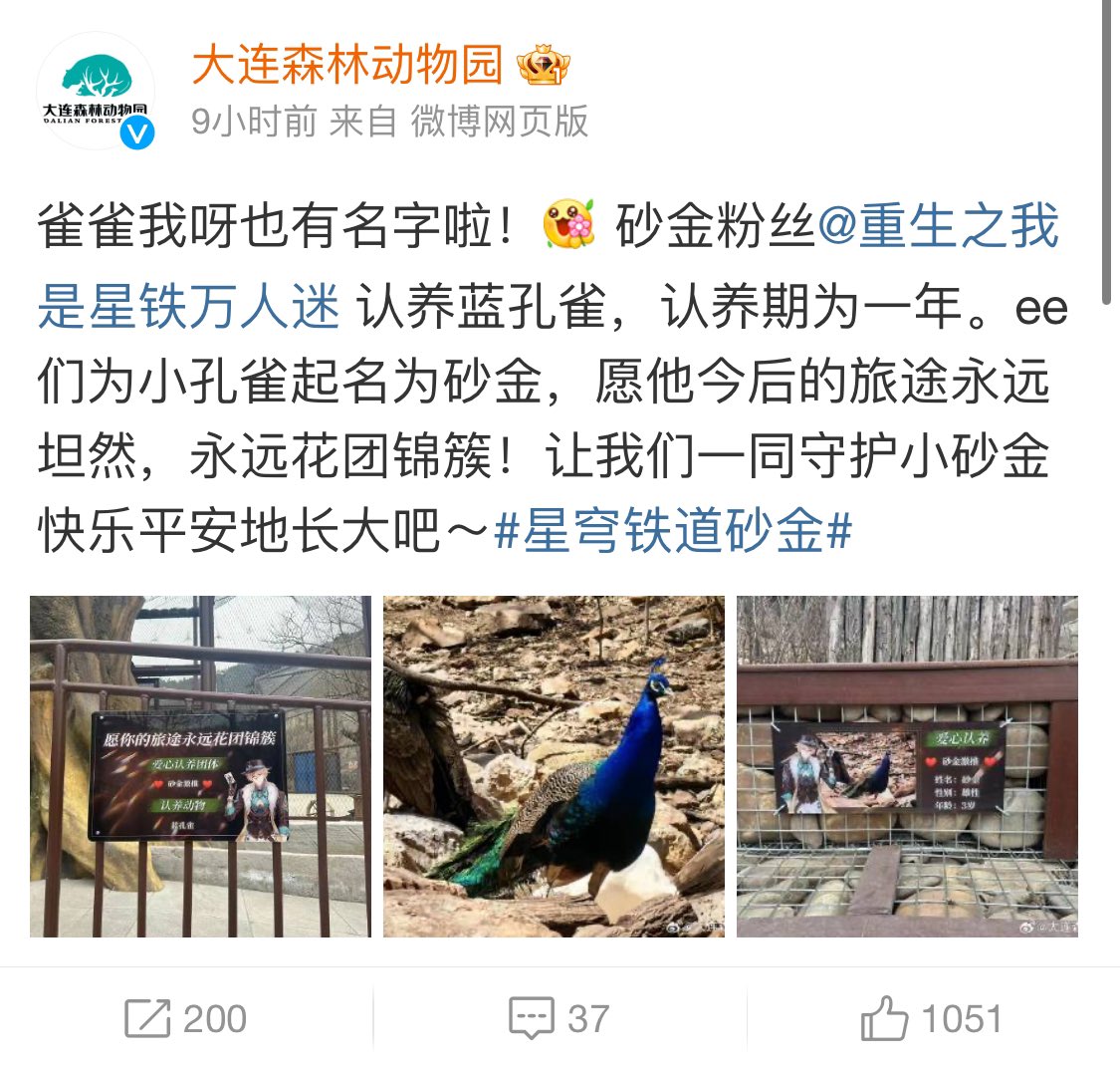 A GROUP OF FANS ADOPTED A PEACOCK AND THE ZOO NAMED HIM AVENTURINE, AND THERE’S EVEN A PLAQUE

HE’S THREE YEARS OLD AND BEAUTIFUL
