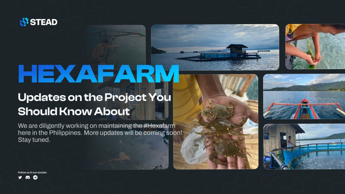 🌊 Introducing the Hexafarm project: A floating structure capable of growing fish, shrimp, lobster, and seaweed together, has been very successful! It's growing faster than ever, promising a future where seafood is more sustainable and accessible. 🦀

#STEAD #RWA #DEFI