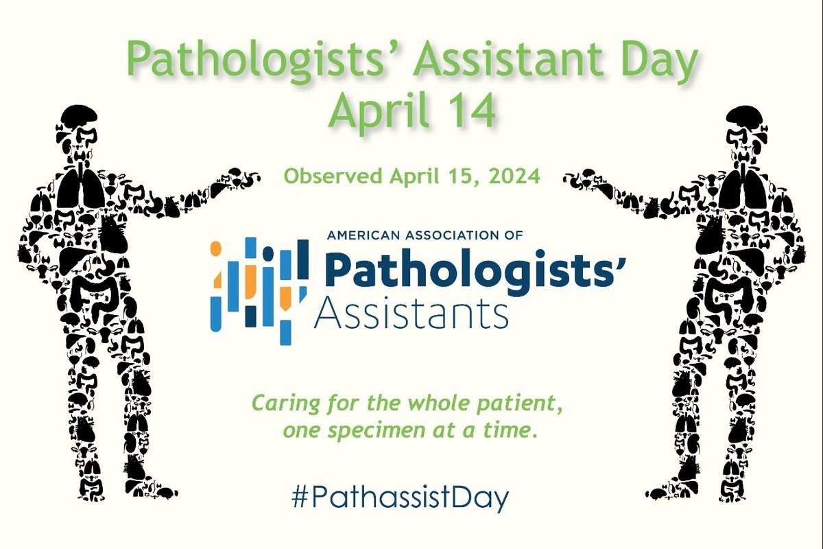 🔸🔶Happy Pathologist's Assistant Day🔶🔸 Although it will fall on Sunday, we can't wait to thank our PA's for the incredible work that they do 🥳🎉! You are one of the pillars of our work! #PAday #Pathologistsassistantsday