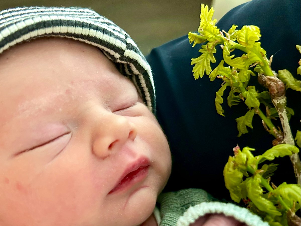 Wim Eikelboom tweet media