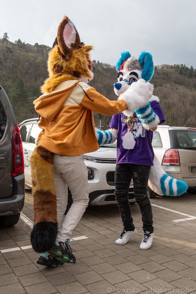 Let’s dance on this #FursuitFriday ! These pictures are from the @SloFurs Spring meet! They’re by @Baritz3 📸 With @/Ronnie_Chanteloup (IG) ! #furry #fursuit