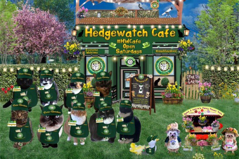 Hedgewatchers tweet picture