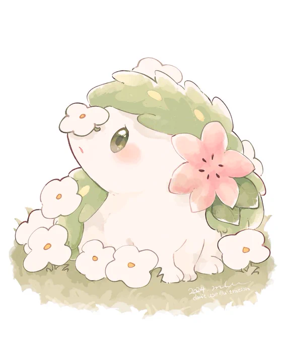 感謝の花? #シェイミの日 