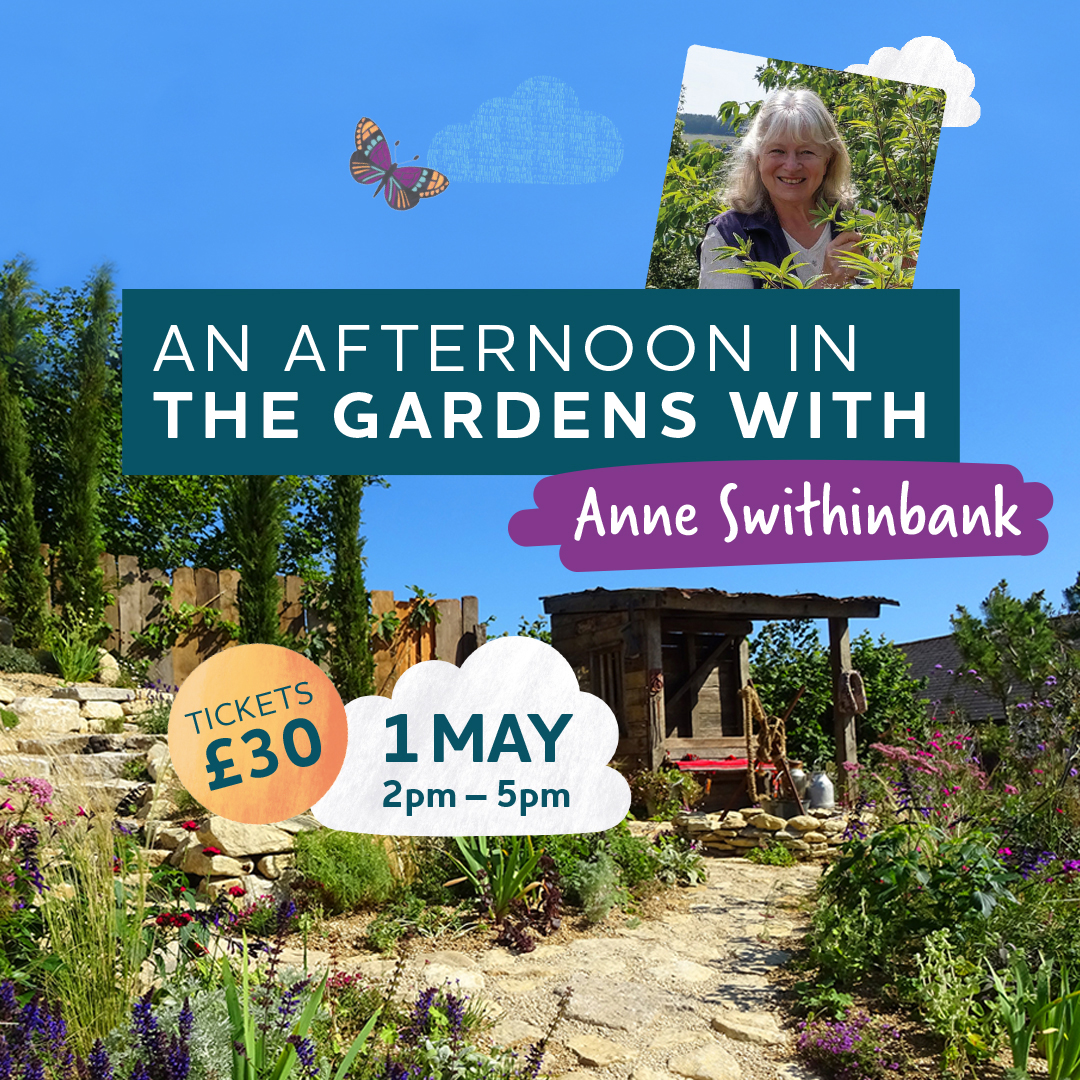 Join renowned horticulturalist and television presenter Anne Swithinbank for a guided walk, talk and afternoon tea at the sanctuary! 🌼 Perfect for gardening fans, pre-book your spot now ➡️ bray.news/3TKEBf5
