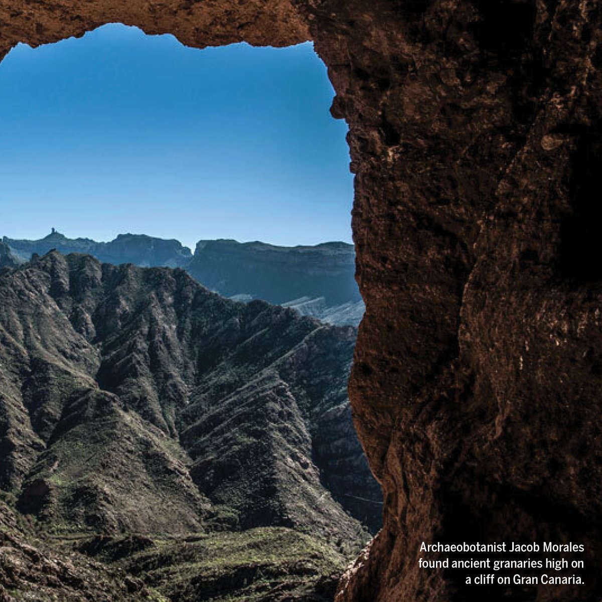 How did the first human settlers of the Canary Islands survive a millennium of isolation? Learn more in this @NewsfromScience feature: scim.ag/6zF