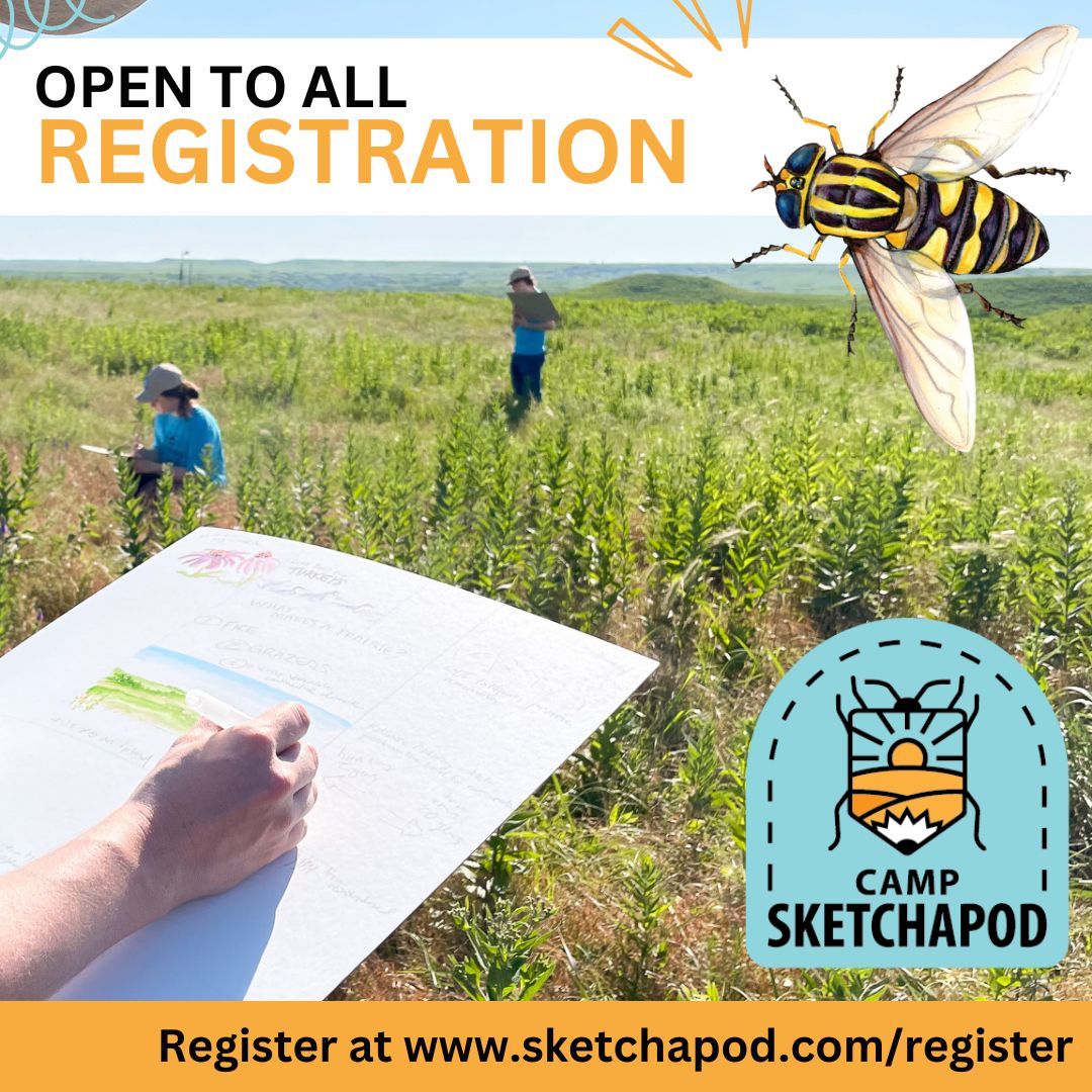 #Camp Sketchapod registration is open to all! (Must be 18 or older, no max age) All majors welcome!✍🏻 🦋 May 24–26. Learn diverse traditional and digital skills to illustrate #bugs effectively 🎨REGISTER HERE: sketchapod.com/register ✅ $39/night on-campus housing available