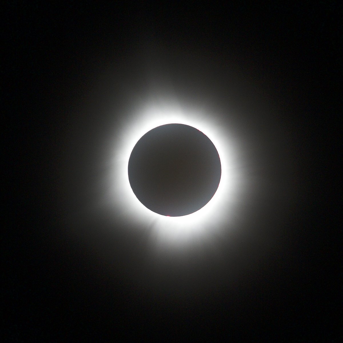 AJ Penninga tweet media