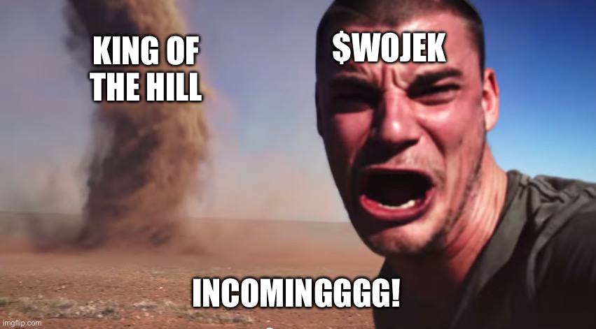 WojekSOL's tweet photo. $WOJEK king of the hill on #pumpdotfun incoming

Buy $WOJEK before raydium listing here - https://t.co/lgQqjuKBA5

#SolanaMemeCoins #Solana #pumpfun #Wojek https://t.co/ayRcTfuRED