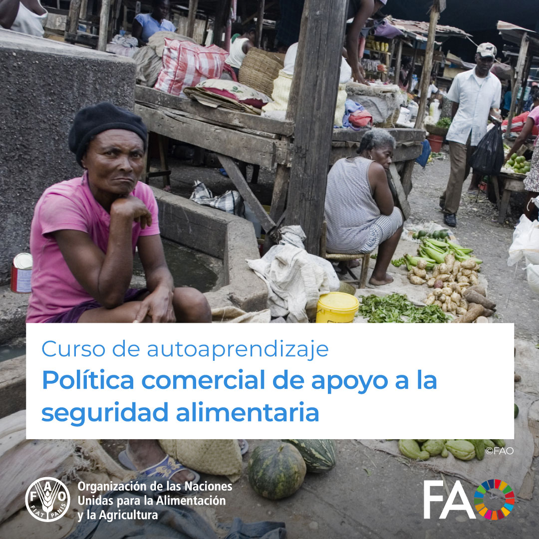 🎓 Curso gratuito en @FAOCampus 📑Política comercial de apoyo a la seguridad alimentaria Las diferentes medidas de política comercial y cómo estás se relacionan con el desarrollo agrícola y la seguridad alimentaria y nutricional ¡Matricúlate! ➡️ ow.ly/CRpf50QmjO9 @FAO