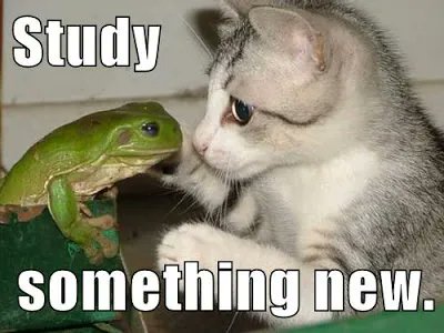 Potential for significant expansion @SenderLabs 

Study something new and i got from this project.. grow up fast, smooth and ralliable @ahdaawalia   @silmarabotelho <a href="/BarajaZamana/">Zahra Zamana</a>