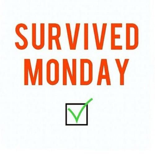 You're more than half way through and you will soon be able to say that you've survived another one! Well done you, keep it going! #mondaymood #mondayfunday #mondaymotivaton #mondaysurvival #anotheronedone #survivedmonday #keepitgoing💯 #youcandoit