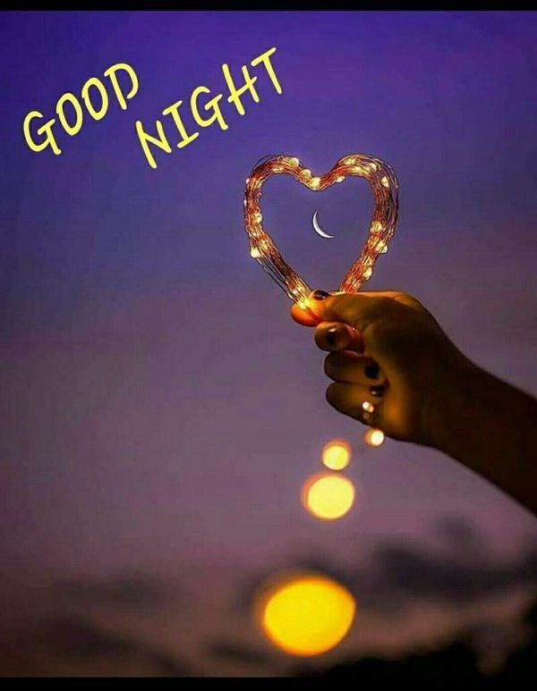 💐....Assalamu Alikum....💐
🌻....Good Night....🌻
🌷Follow....for....Follow🌷
🌱....How are you my X Family....🌱
🌹....Coment plz....🌹