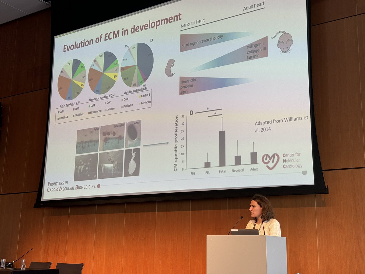Alessandra Lodrini (@alelodrini) on Twitter photo Lovely talk by <a href="/C_Balbi90/">Carolina Balbi</a> on the secreted extracellular matrix protein Periostin in cardiac regeneration.
❗️CPC-derived #exosomes promote cardiomyocyte cell cycle-reentry via a short POSTN isoform on their surfaces.
thno.org/v11p5634.htm
#FCVB2024 #ESCbasicscience <a href="/escardio/">European Society of Cardiology</a> Lovely talk by <a href="/C_Balbi90/">Carolina Balbi</a> on the secreted extracellular matrix protein Periostin in cardiac regeneration.
❗️CPC-derived #exosomes promote cardiomyocyte cell cycle-reentry via a short POSTN isoform on their surfaces.
thno.org/v11p5634.htm
#FCVB2024 #ESCbasicscience <a href="/escardio/">European Society of Cardiology</a>