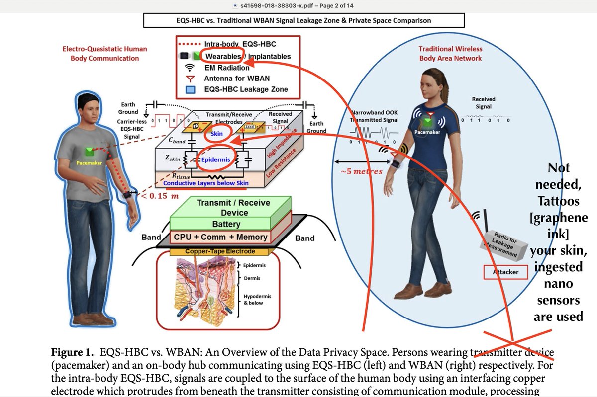 We've been turned into a receiver and transmitter and being used as such, it does matter? Yes it does, if you know you & your children can resist transmissions. Posed as healthcare, it is not... #HBC youtu.be/3tn4aQ6SWEo?si…