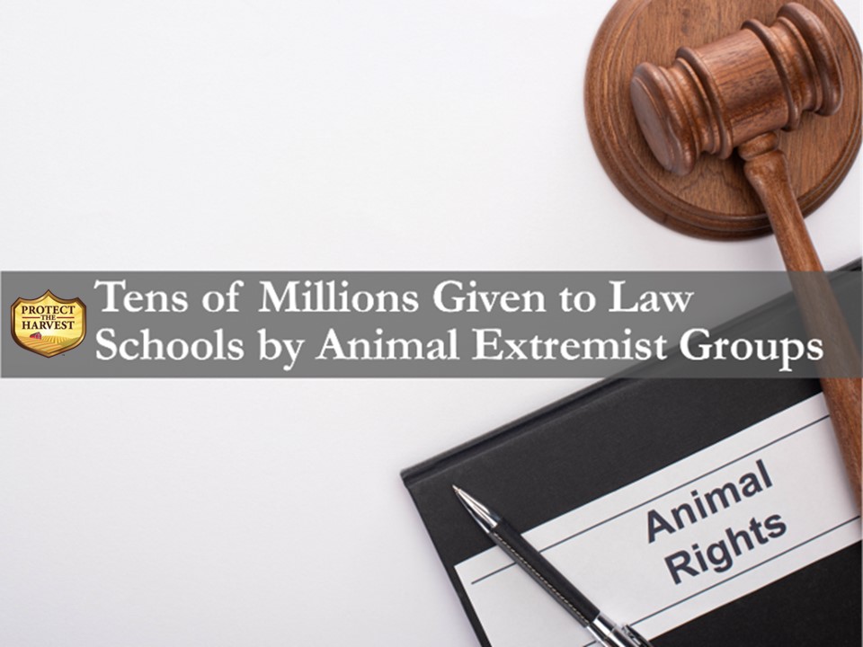 Animal extremist groups give millions to law schools. 
#animalextremism #animalwelfare #animalwelfarenotanimalextremism #animallaw #lawyers #lawschool
protecttheharvest.com/news/animal-ex…