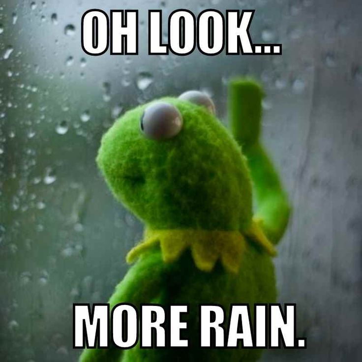 There may be rain in the forecast, but that doesn't stop us! 🌧️We are booking free estimates now! We have financing options too! Contact us today! 📞607-434-1512   #roofingspecialist