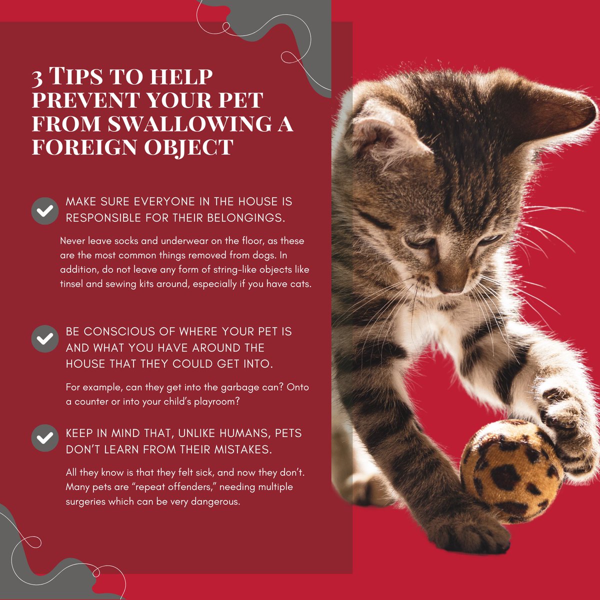 Prevent pet emergencies before they happen! 🚫🐾 Keep your furry friend safe by following these simple tips to avoid accidental ingestion of foreign objects. #PetSafety #PreventionTips