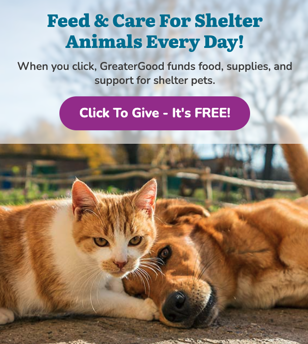 Feed & Care for Shelter Animals Every Day! When you click, GreaterGood funds food, supplies, and support for shelter pets. theanimalrescuesite.greatergood.com/clicktogive/ar…