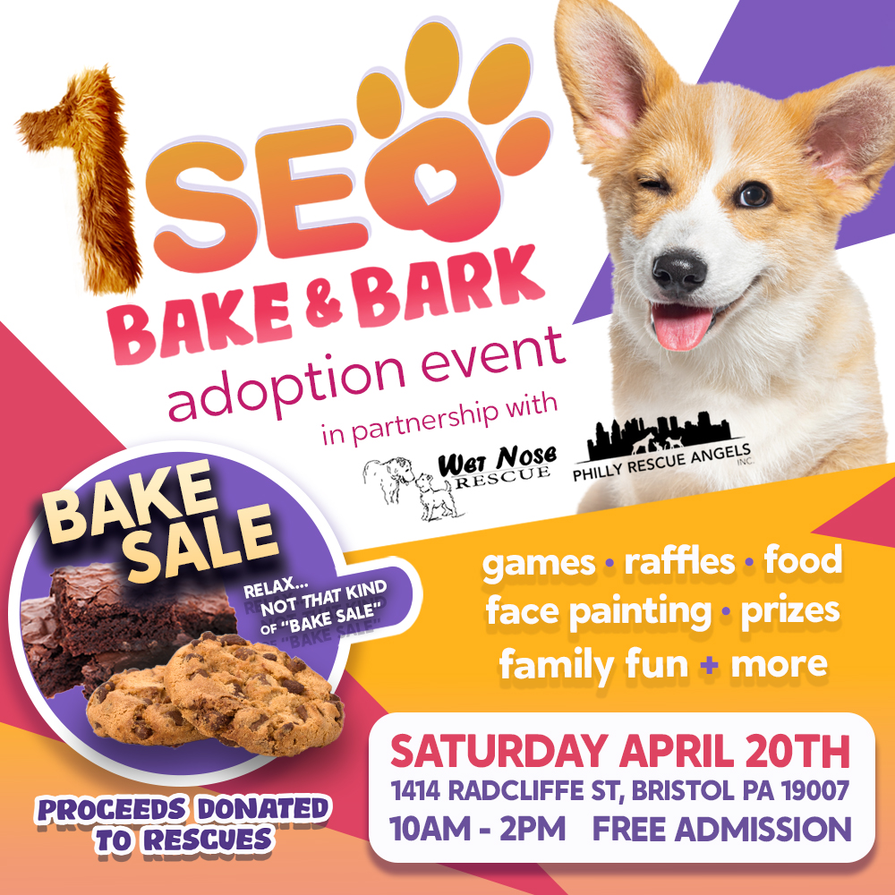1SEODigital's tweet photo. Hey @BobKellyFOX29! We're hosting a dog adoption event on Saturday, April 20th! 🐾 Over 20 local businesses are joining forces to support our furry friends and shelters! 
🔗 https://t.co/SPYxH6fXgB
Can we count on you to help us spread the word? 📢 #AdoptDontShop #PawsForACause https://t.co/ggVoKOffdP