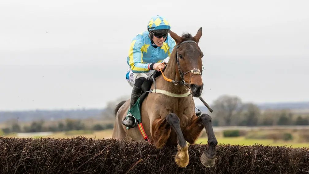 🏆 A new Aintree mission for breeder Ivor Dulohery after the heartbreak of Garrison Savannah Tom Peacock speaks to a dairy farmer with a bright young hope in the big race With Members' Club Ultimate 👉 bit.ly/3VVLX1V