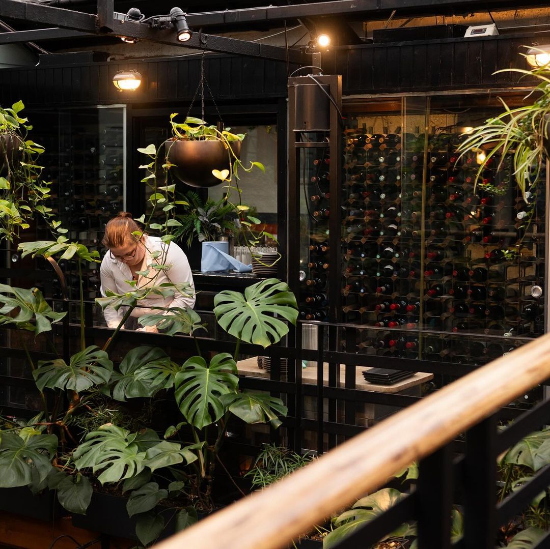 Glasgow's Ubiquitous Chip has over 120 TripAdvisor reviews which mention their plants - proving the powerful role they play in creating a memorable dining experience. 

Get in touch to discover the possibilities for your venue: benholm.com/contact-us/ 

#biophilicdesign #glasgow